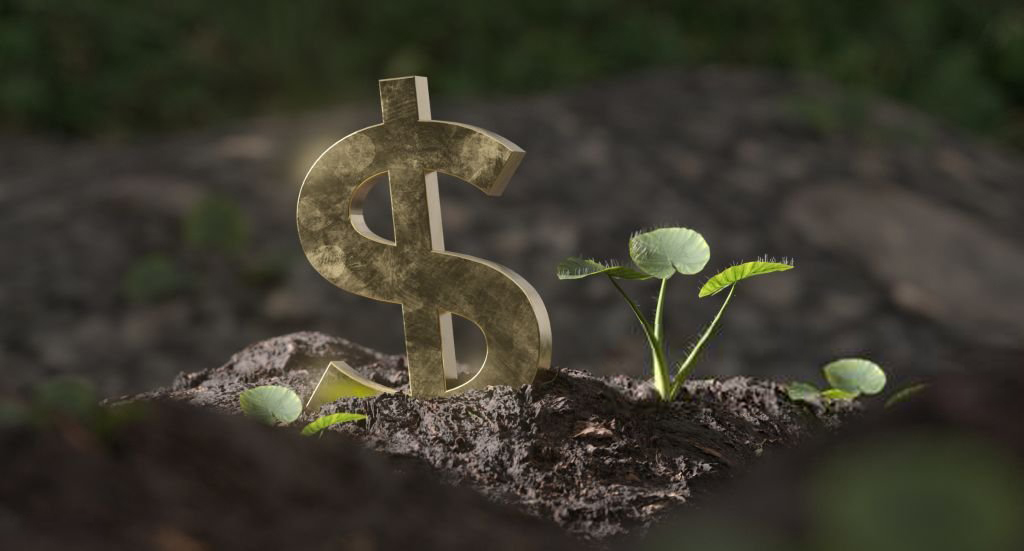 Plant sprout growth, close up, macro, growing, money, dollar sign